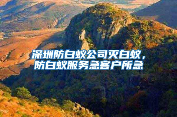 深圳防白蟻公司滅白蟻，防白蟻服務(wù)急客戶所急