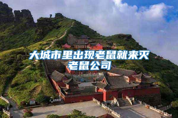 大城市里出現老鼠就來滅老鼠公司