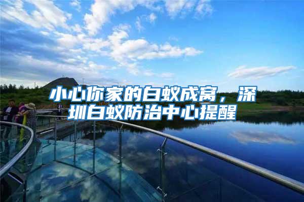 小心你家的白蟻成窩，深圳白蟻防治中心提醒