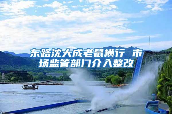 東路沈大成老鼠橫行 市場監(jiān)管部門介入整改