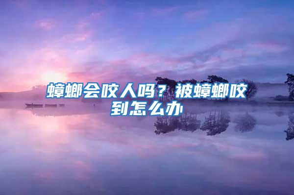 蟑螂會咬人嗎？被蟑螂咬到怎么辦