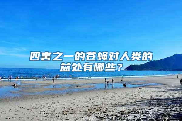 四害之一的蒼蠅對人類的益處有哪些？