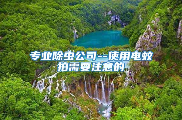 專業(yè)除蟲公司--使用電蚊拍需要注意的