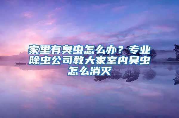 家里有臭蟲怎么辦？專業除蟲公司教大家室內臭蟲怎么消滅