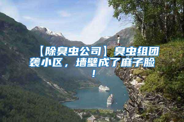 【除臭蟲公司】臭蟲組團襲小區，墻壁成了麻子臉！