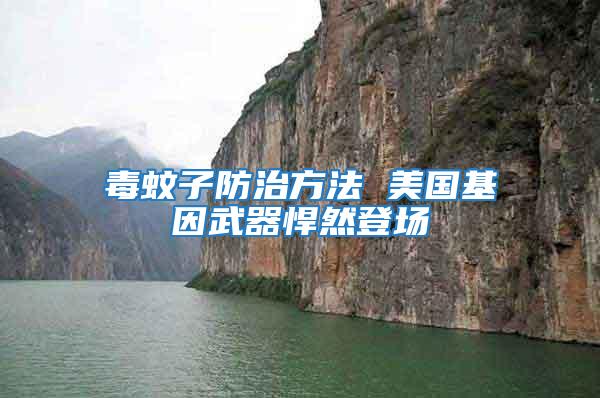 毒蚊子防治方法 美國基因武器悍然登場