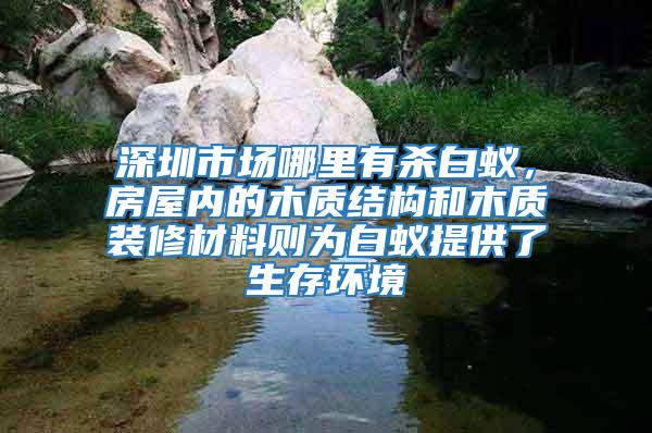深圳市場哪里有殺白蟻，房屋內的木質結構和木質裝修材料則為白蟻提供了生存環境