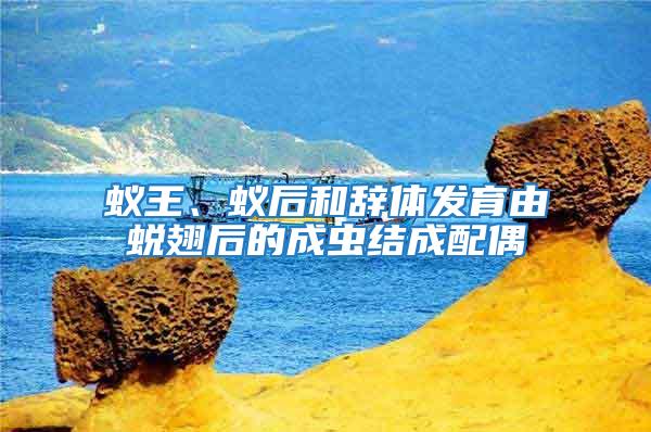 蟻王、蟻后和辭體發(fā)育由蛻翅后的成蟲(chóng)結(jié)成配偶