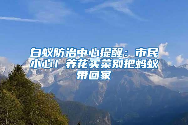 白蟻防治中心提醒：市民小心！養花買菜別把螞蟻帶回家
