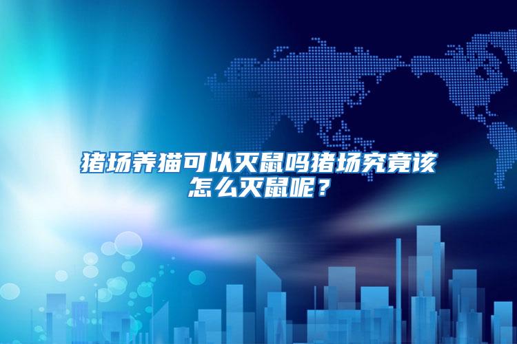 豬場養貓可以滅鼠嗎豬場究竟該怎么滅鼠呢？