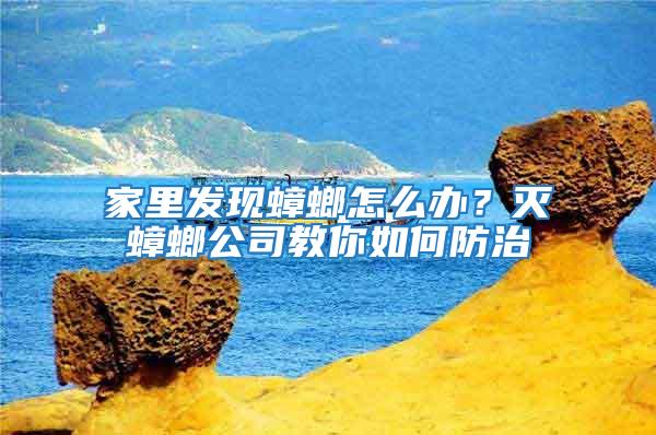 家里發現蟑螂怎么辦？滅蟑螂公司教你如何防治