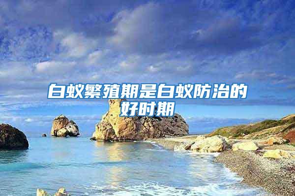 白蟻繁殖期是白蟻防治的好時期