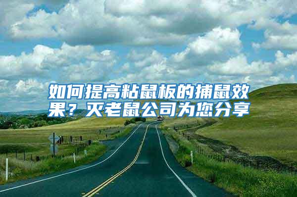 如何提高粘鼠板的捕鼠效果？滅老鼠公司為您分享