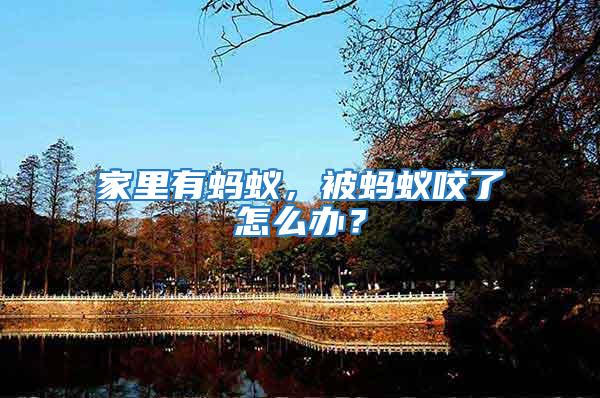家里有螞蟻，被螞蟻咬了怎么辦？