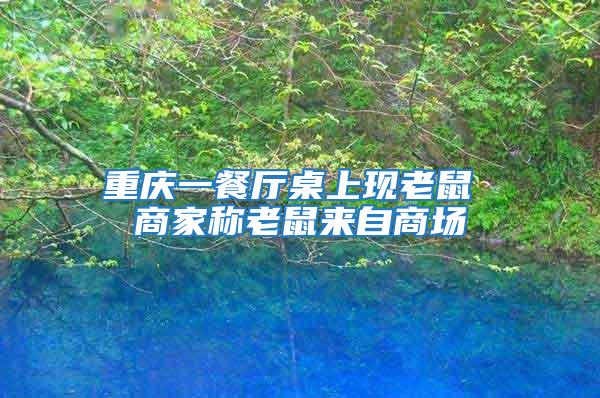 重慶一餐廳桌上現老鼠 商家稱老鼠來自商場