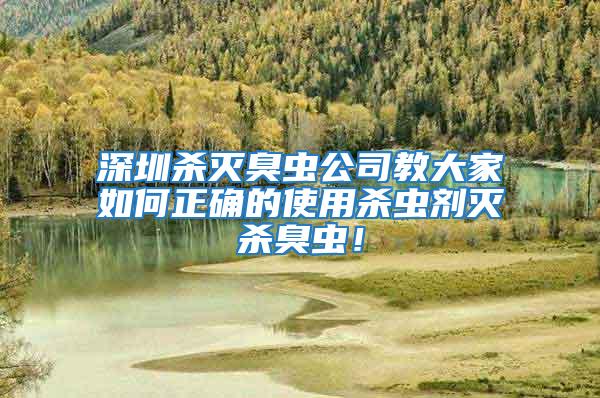 深圳殺滅臭蟲公司教大家如何正確的使用殺蟲劑滅殺臭蟲！