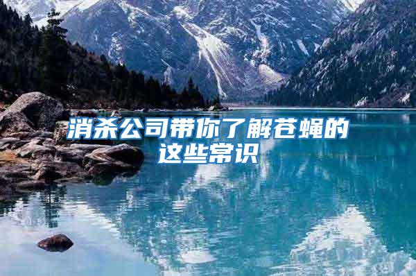 消殺公司帶你了解蒼蠅的這些常識