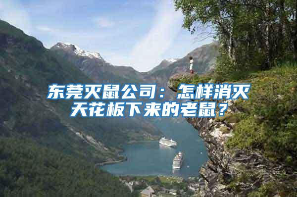 東莞滅鼠公司：怎樣消滅天花板下來的老鼠？