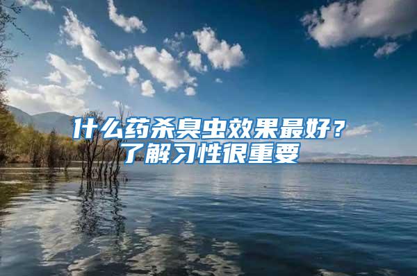 什么藥殺臭蟲效果最好？了解習(xí)性很重要