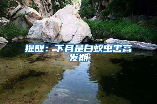 提醒：下月是白蟻蟲害高發(fā)期