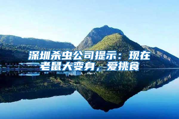 深圳殺蟲公司提示：現(xiàn)在老鼠大變身，愛挑食