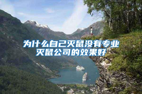 為什么自己滅鼠沒有專業(yè)滅鼠公司的效果好