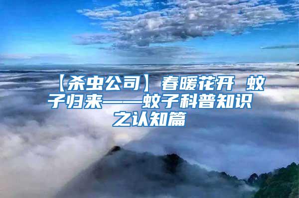 【殺蟲公司】春暖花開 蚊子歸來——蚊子科普知識之認(rèn)知篇
