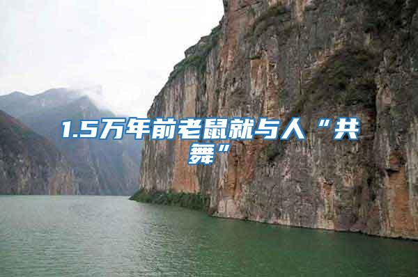 1.5萬年前老鼠就與人“共舞”