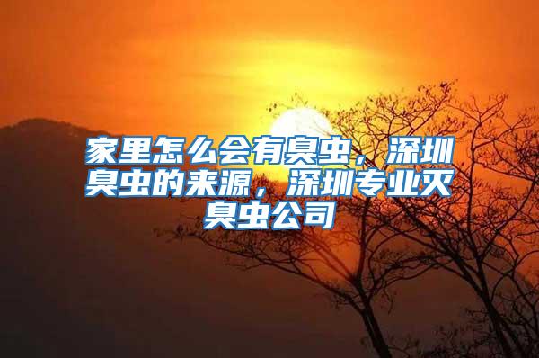 家里怎么會有臭蟲，深圳臭蟲的來源，深圳專業(yè)滅臭蟲公司