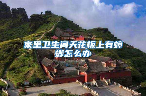 家里衛生間天花板上有蟑螂怎么辦