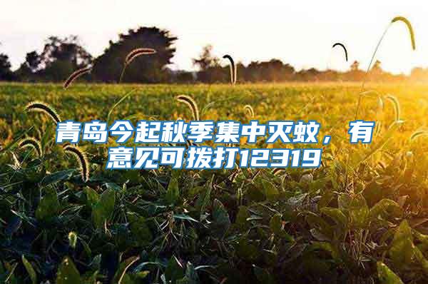 青島今起秋季集中滅蚊，有意見可撥打12319