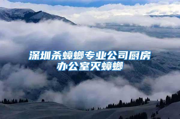 深圳殺蟑螂專業公司廚房辦公室滅蟑螂