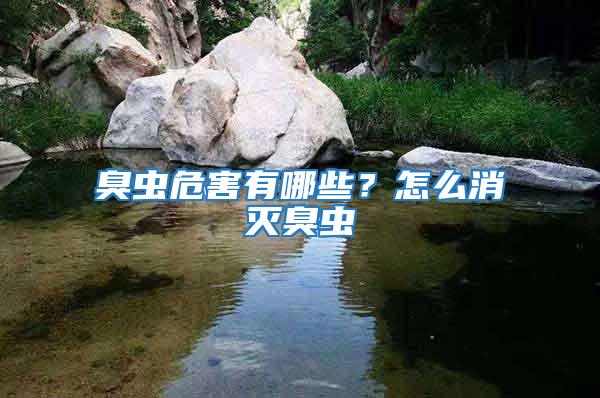 臭蟲危害有哪些？怎么消滅臭蟲