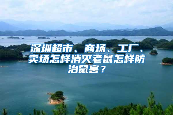 深圳超市、商場、工廠、賣場怎樣消滅老鼠怎樣防治鼠害？