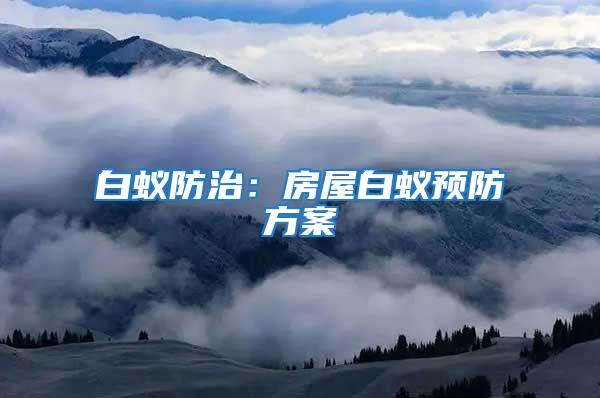 白蟻防治：房屋白蟻預防方案