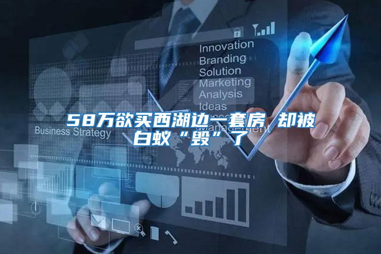 58萬欲買西湖邊一套房 卻被白蟻“毀”了