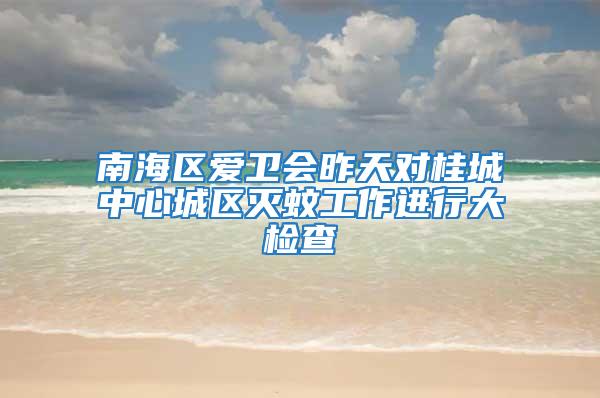南海區(qū)愛衛(wèi)會昨天對桂城中心城區(qū)滅蚊工作進行大檢查