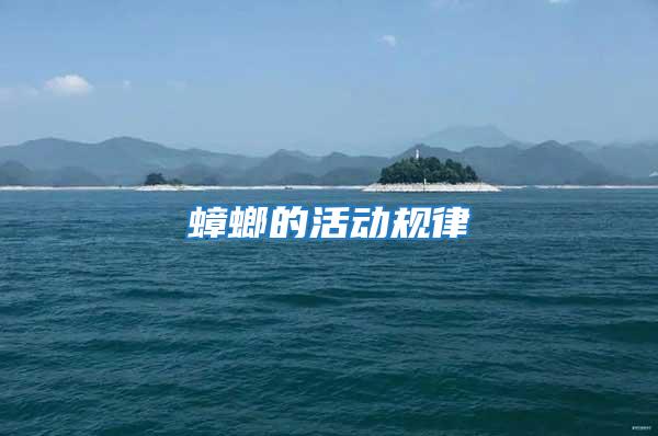 蟑螂的活動規律