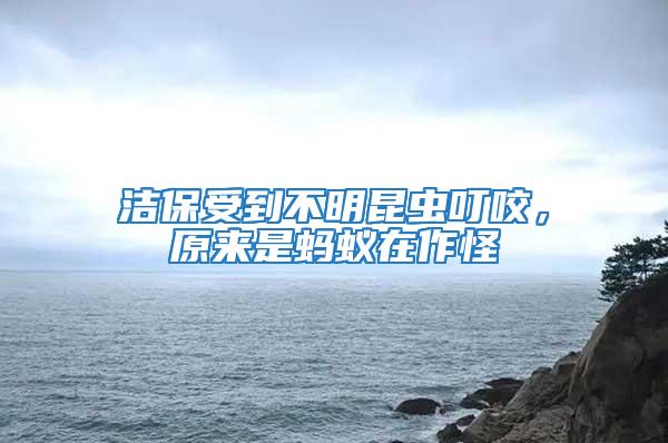 潔保受到不明昆蟲叮咬，原來是螞蟻在作怪
