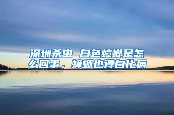 深圳殺蟲 白色蟑螂是怎么回事，蟑螂也得白化病