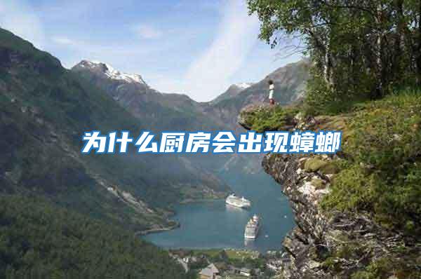 為什么廚房會出現蟑螂