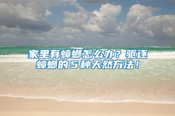 家里有蟑螂怎么辦？驅(qū)逐蟑螂的５種天然方法！
