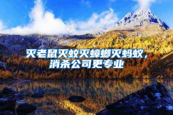 滅老鼠滅蚊滅蟑螂滅螞蟻，消殺公司更專業