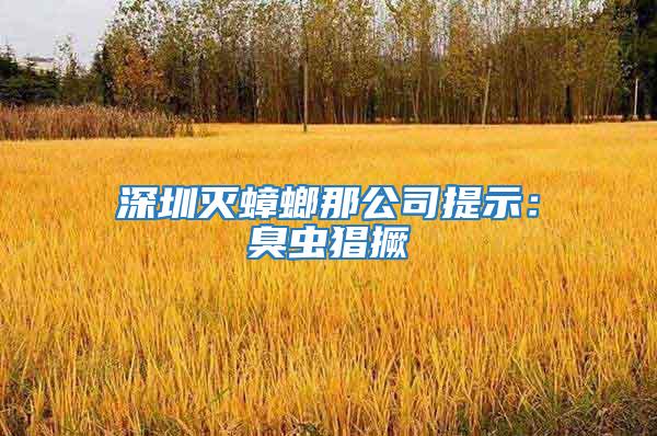 深圳滅蟑螂那公司提示：臭蟲(chóng)猖撅