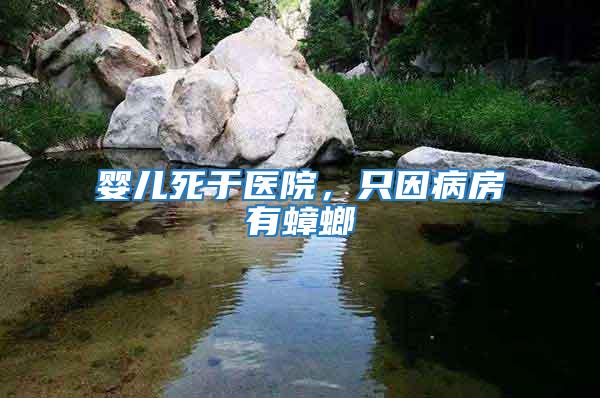 嬰兒死于醫院，只因病房有蟑螂