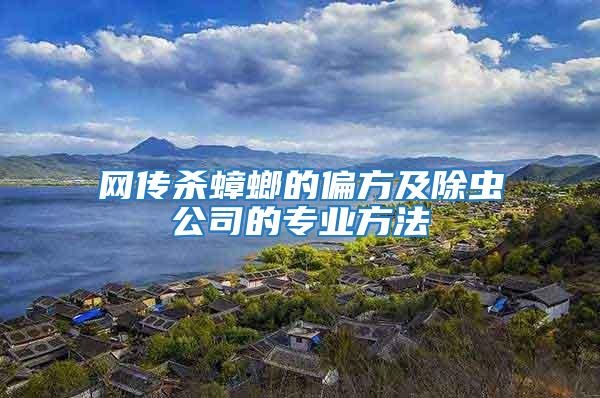 網(wǎng)傳殺蟑螂的偏方及除蟲公司的專業(yè)方法