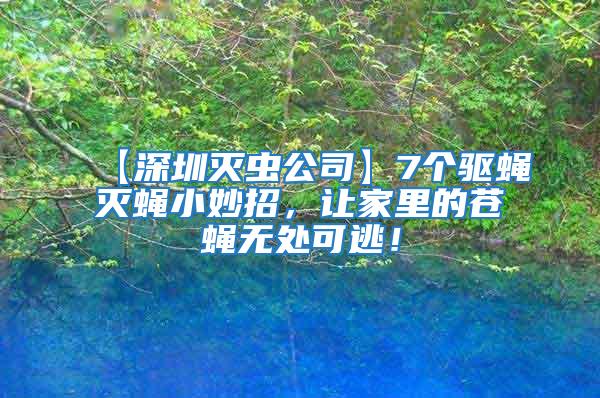 【深圳滅蟲公司】7個(gè)驅(qū)蠅滅蠅小妙招，讓家里的蒼蠅無處可逃！