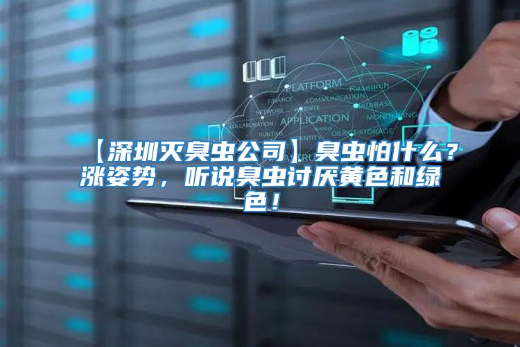 【深圳滅臭蟲公司】臭蟲怕什么？漲姿勢，聽說臭蟲討厭黃色和綠色！