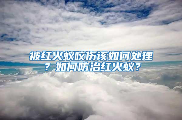 被紅火蟻咬傷該如何處理？如何防治紅火蟻？