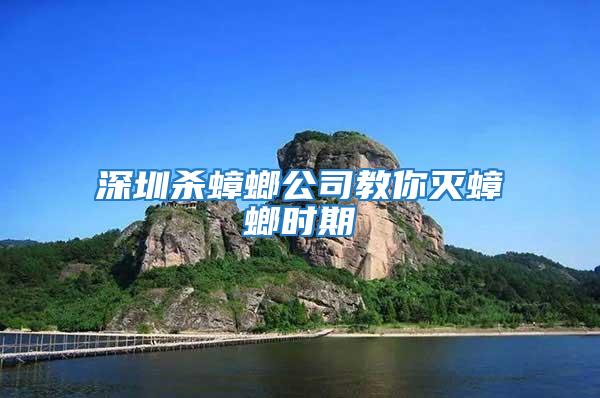 深圳殺蟑螂公司教你滅蟑螂時期